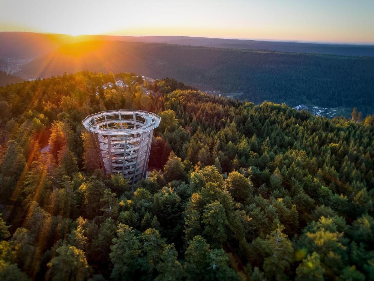 Apartment Schwarzwald Maedl